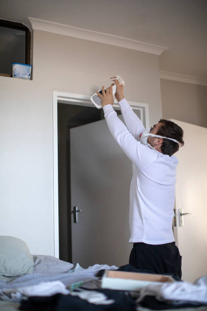 Bethel Park, PA Mold Removal Company